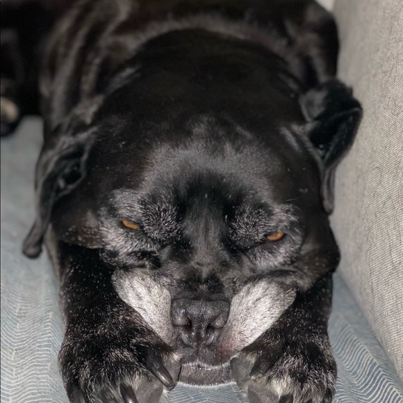 Meet me! Know who you buy from! - Picture 3 of 11